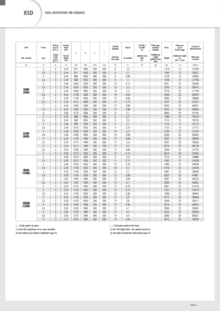 DELACCO RSD full-rotation jib cranes specifications 5